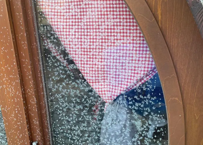 Schlafen Im Weinfass Ipsheim