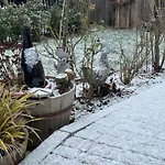 Daire Schlafen Im Weinfass Ipsheim