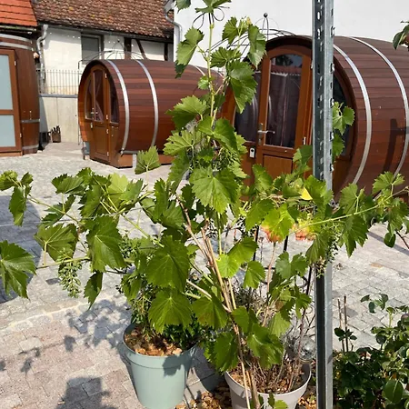 Schlafen Im Weinfass Apartment *