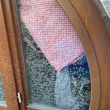 Schlafen Im Weinfass Ipsheim